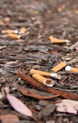 Ignoring your smokers Cigarette Butt Litter is like telling the planet to get stuffed