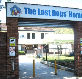Lost Dogs Home - Eco-Pole Wall-mounted Ashtray