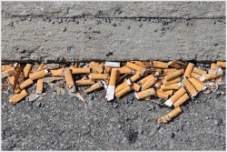 Typical cigarette but litter in the gutter