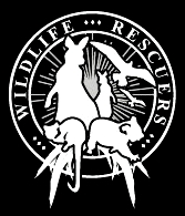 Wildlife Rescuers is a voluntary organisation that relies on donations and merchandising sales for fundraising