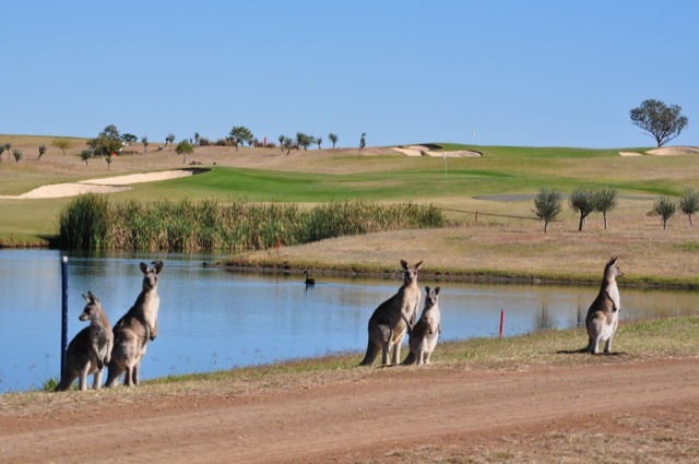 Wildlife and Waterways - Just two of the reasons why Longyard Golf Club uses No BuTTs Eco-Pole Free Standing/Bollard Ashtrays