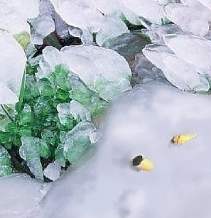 'As the snow melts it's like some horrible kind of Peek-a-boo...'