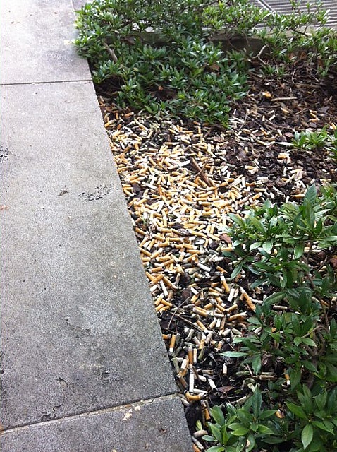 Butt Litter - The unbelievable sight at Treasury Place, Melbourne
(Victorian State Government's main location)